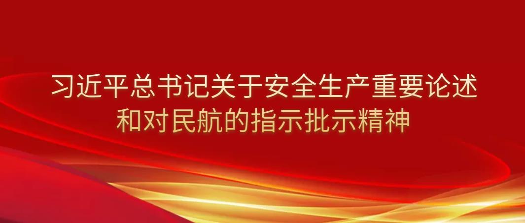 學(xué)習(xí)貫徹習(xí)近平總書(shū)記對(duì)于民航安全的指示批示精神